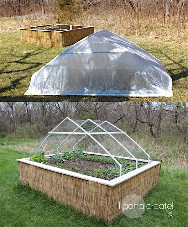 Raised garden bed with a convertible roof! Plastic protects plants in cold months and chicken wire protects from deer. | Visit I Gotta Create!