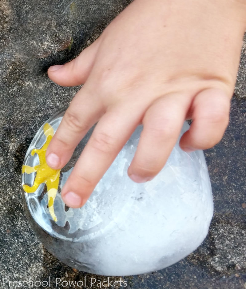 dinosaur egg experiment