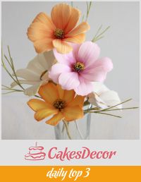 CakesDecor