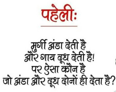 Paheli : Murgi Anda Deti Hai Aur Gaai Dudh Deti Hai..! Paheli : Murgi Anda Deti Hai Aur Gaai Dudh Deti Hai..!