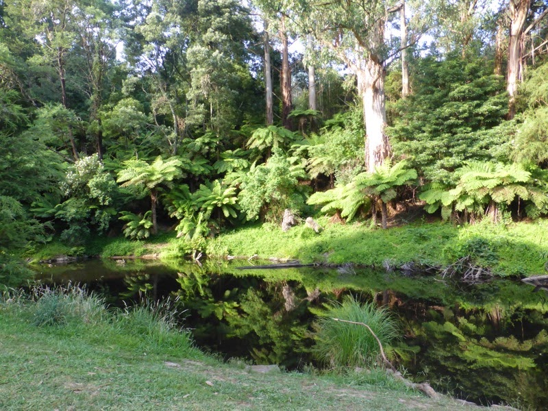 Uncensored family nudist footage available