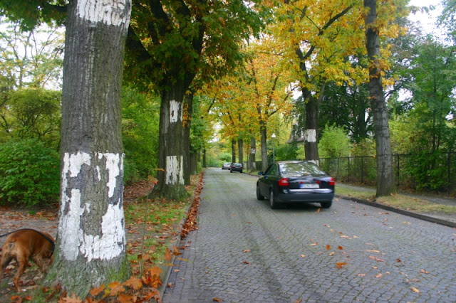 Narrow roads and cobble stone streets in Dahlem, Berlin.