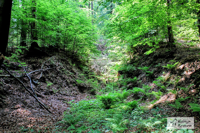 Największy obiekt Riese - Włodarz (Wolfsberg)