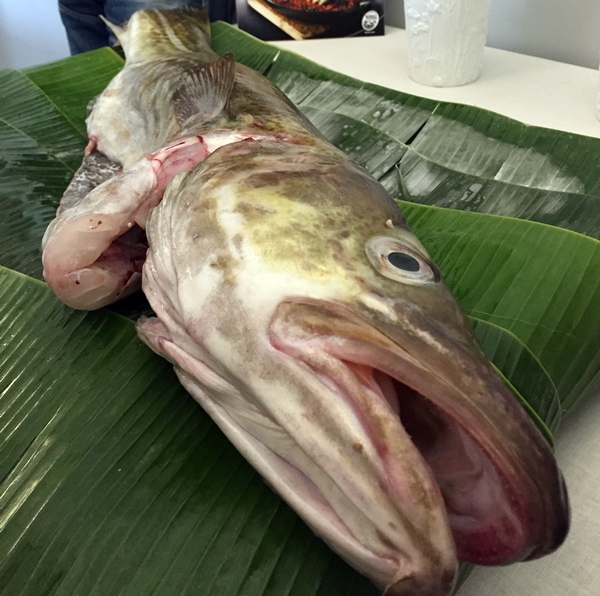 foto-portada-bacalao-skrei8 bacalao-skrei1