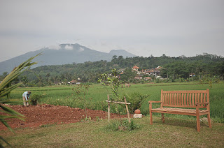 Objek Wisata Alam Gunung Unggaran Objek Wisata Alam Gunung Unggaran