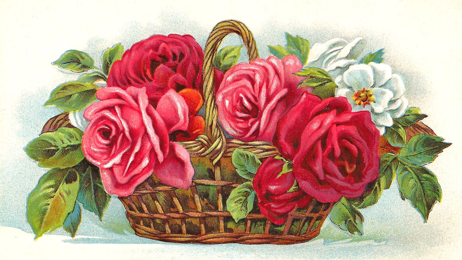 free clip art flower baskets - photo #27
