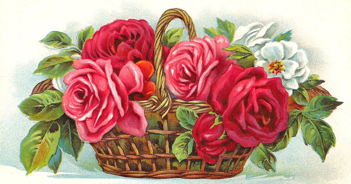 Rose Wallpaper For Girls Flowers