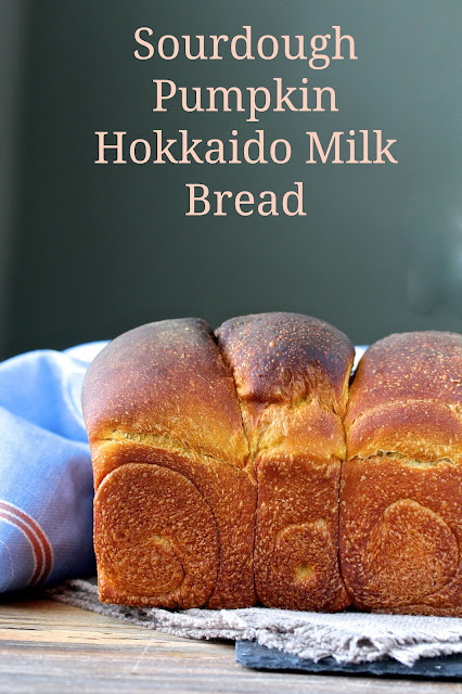 This Sourdough Pumpkin Hokkaido Milk Bread is so soft and flavorful, and perfect for breakfast toast. 