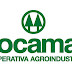Cocamar de Maringá está contratando Engenheiro Agrônomo