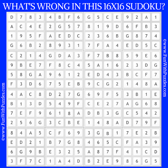 Spot the Mistake in 16x16 Jumbo Sudoku: Picture Puzzle
