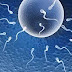 What is the treatment of Fertility?
