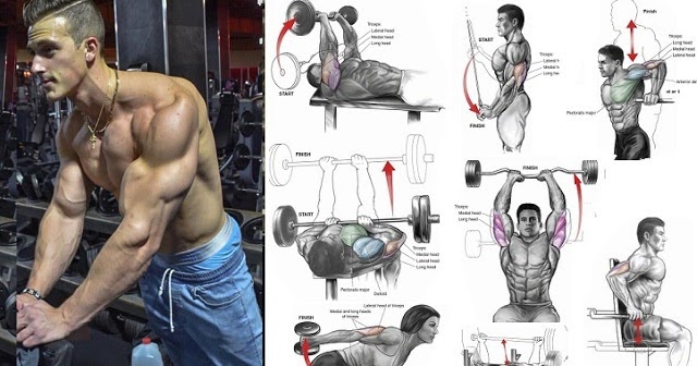 Are Pushups Effective For Building Muscle Are Pushups Effective For Building Muscle