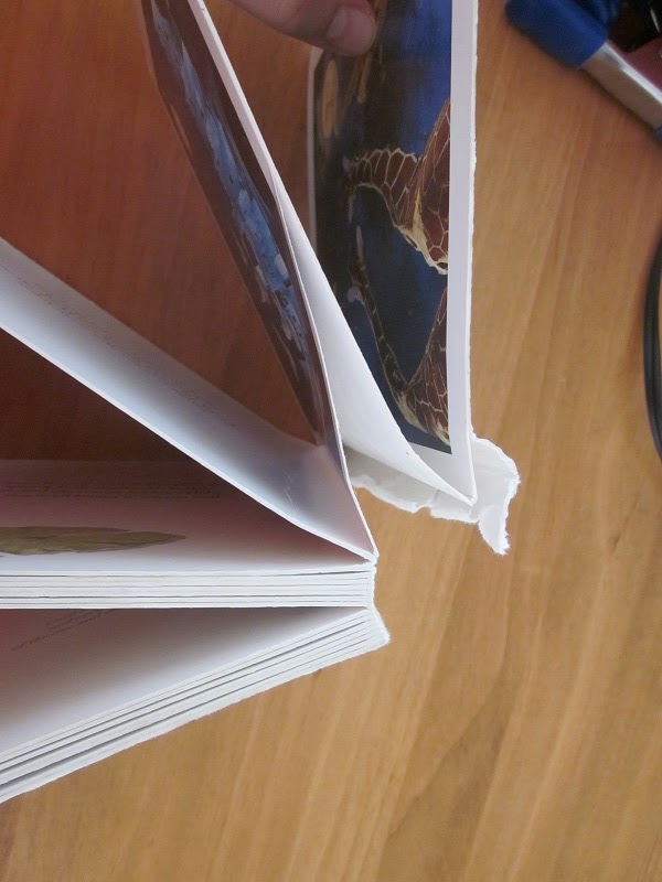 Playing to Learn Repairing a Broken Board Book (updated)