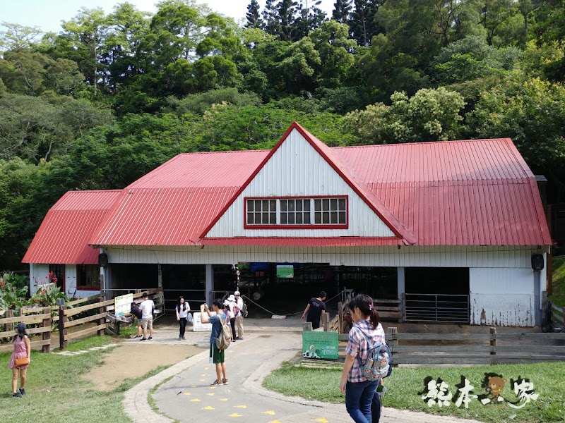 媲美清境青青草原|苗栗飛牛牧場|乳牛綿羊生態區~擠牛奶餵小羊小牛體驗