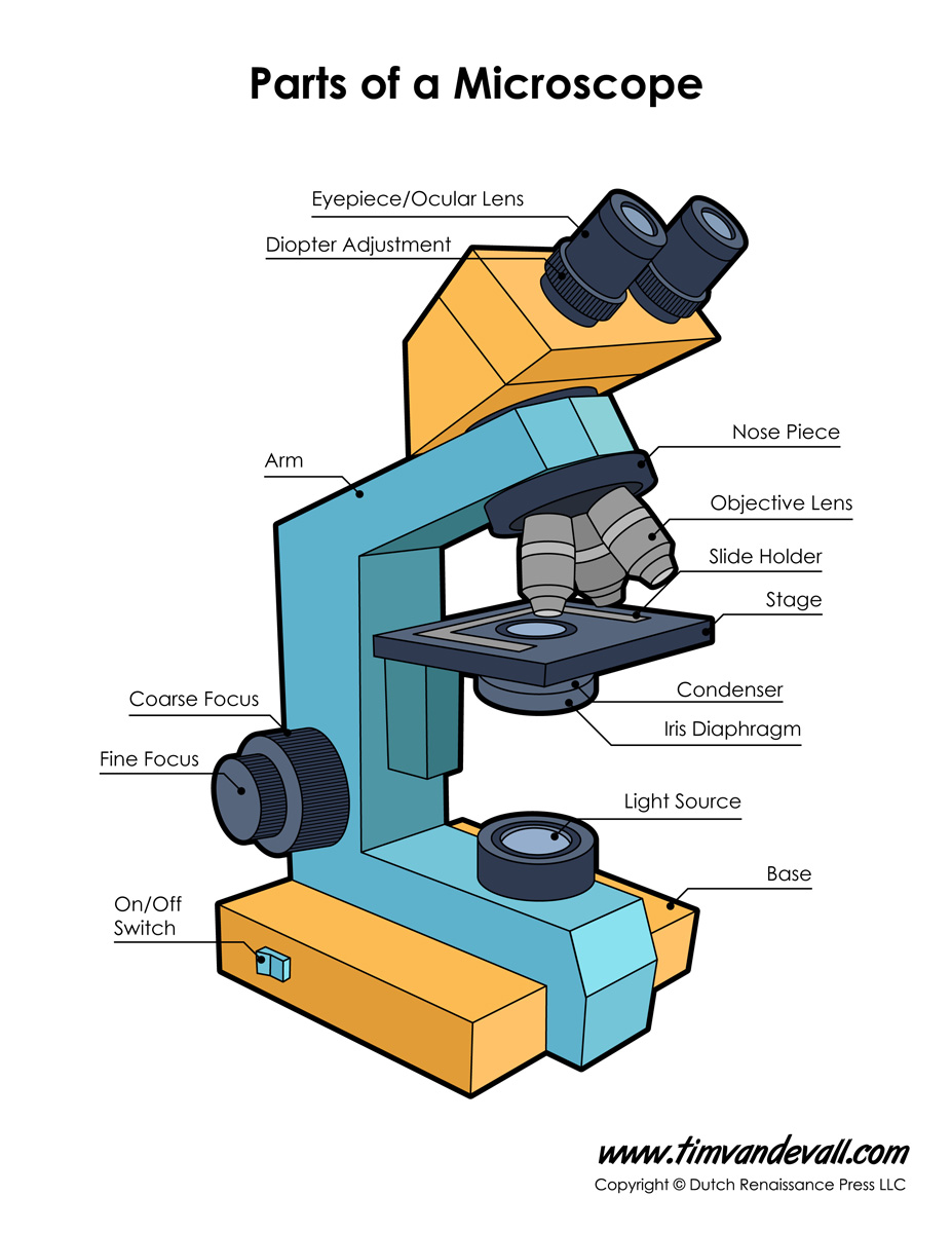 parts of a microscope and function