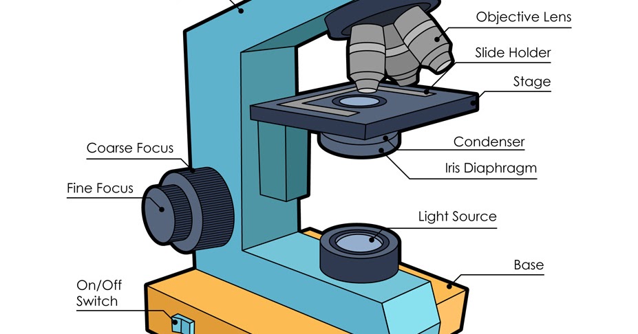 Labeled Image Of Microscope