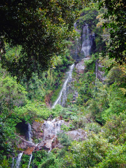 salto petrohue puerto varas chile peulla