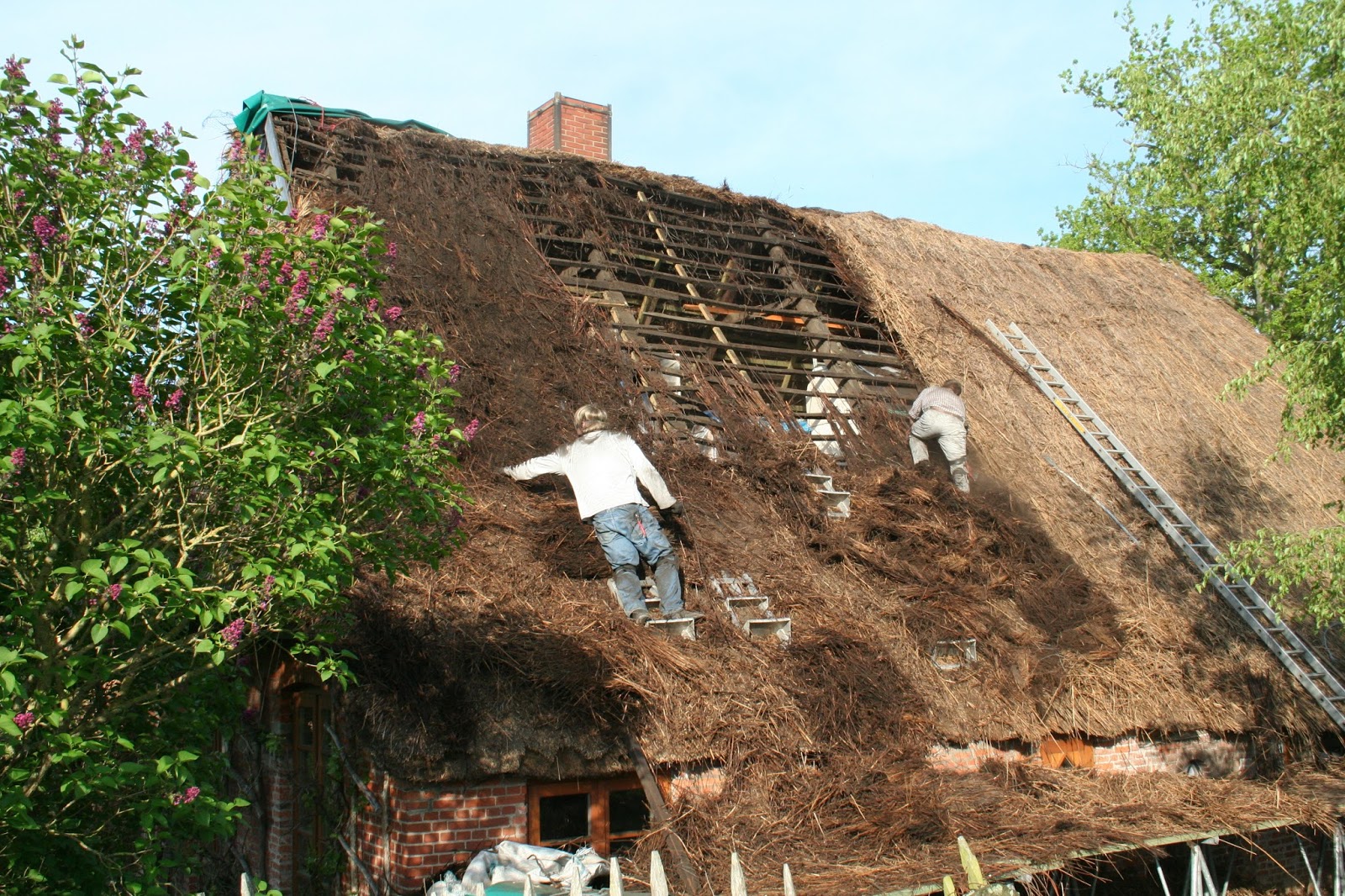 Reetselig: Wir bekommen ein neues Reetdach - Tag 2