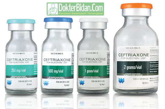 Ceftriaxone - Indikasi Obat Dosis Peringatan Manfaat Dan Efek Sampingnya Bagi Kesehatan Pasien Yang Sedang Sakit Ceftriaxone - Indikasi Obat Dosis Peringatan Manfaat Dan Efek Sampingnya Bagi Kesehatan Pasien Yang Sedang Sakit