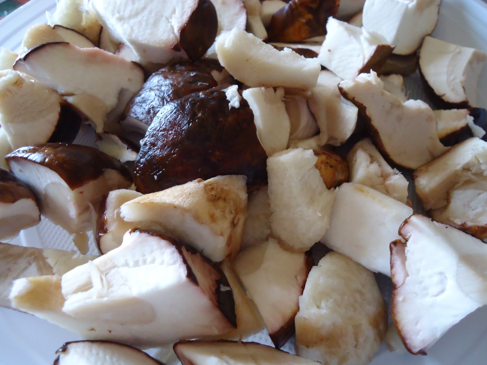 Cucinanostress FETTUCCINE PORCINI E SALSICCIA