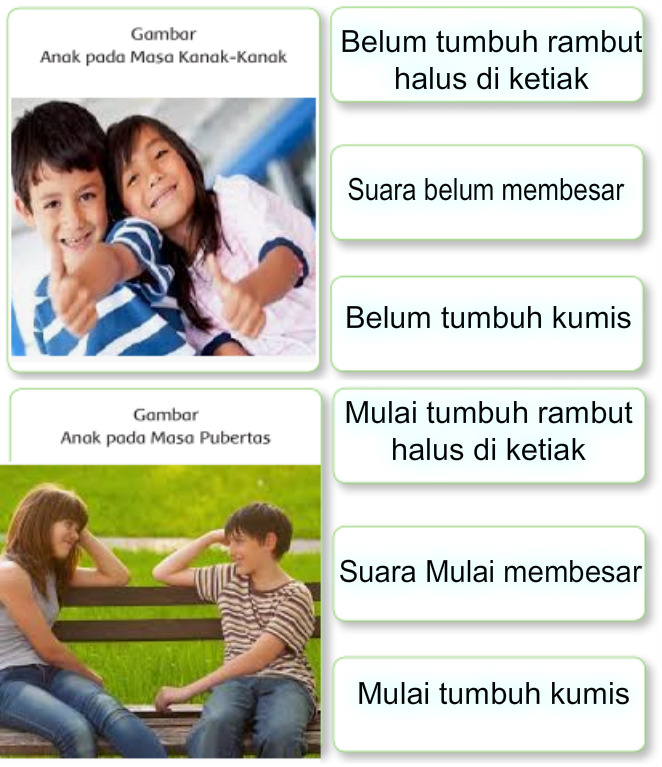 tema 6 tema 6