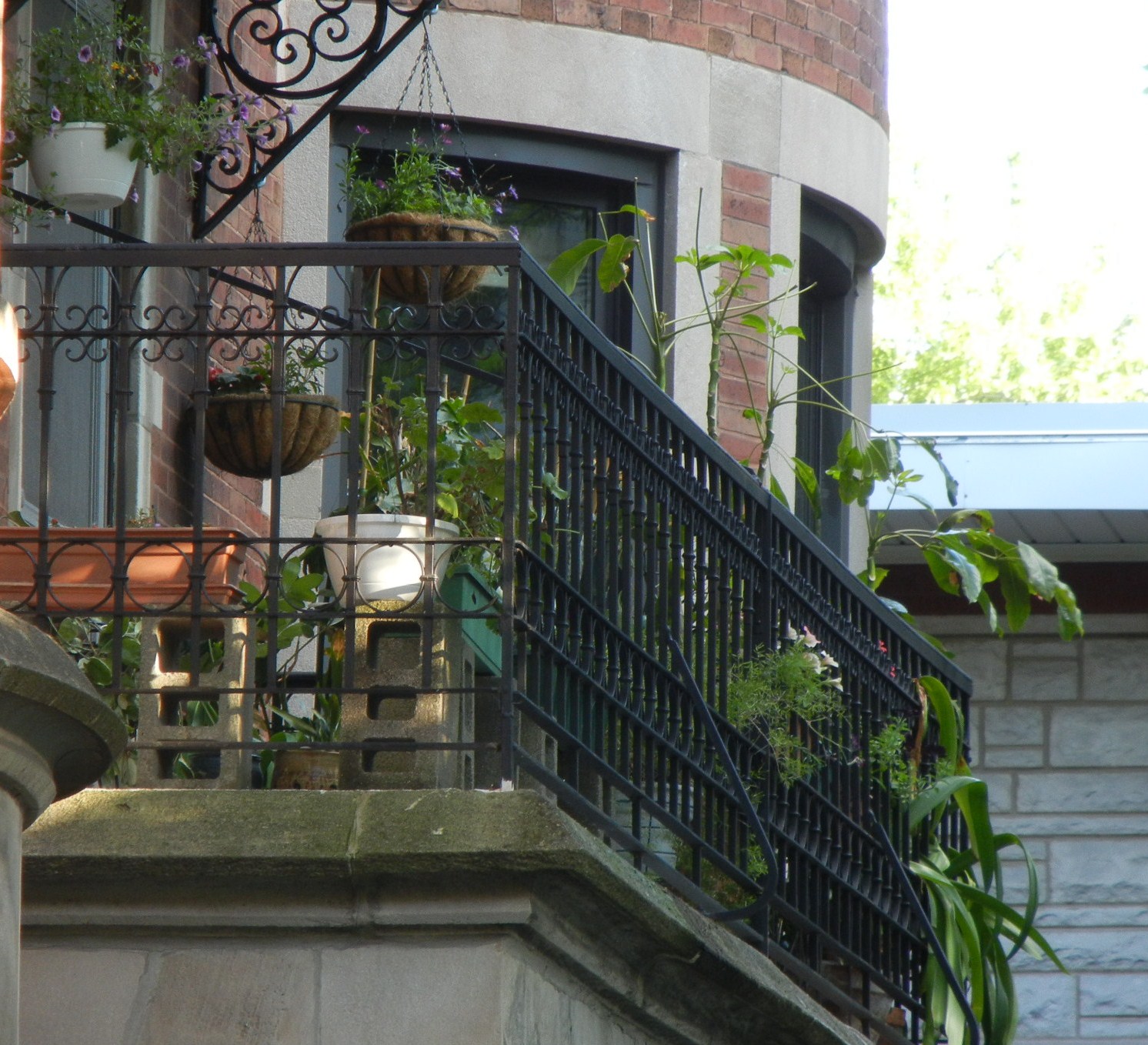 ChainLink Trellis Balcony and Fire Escape Gardening