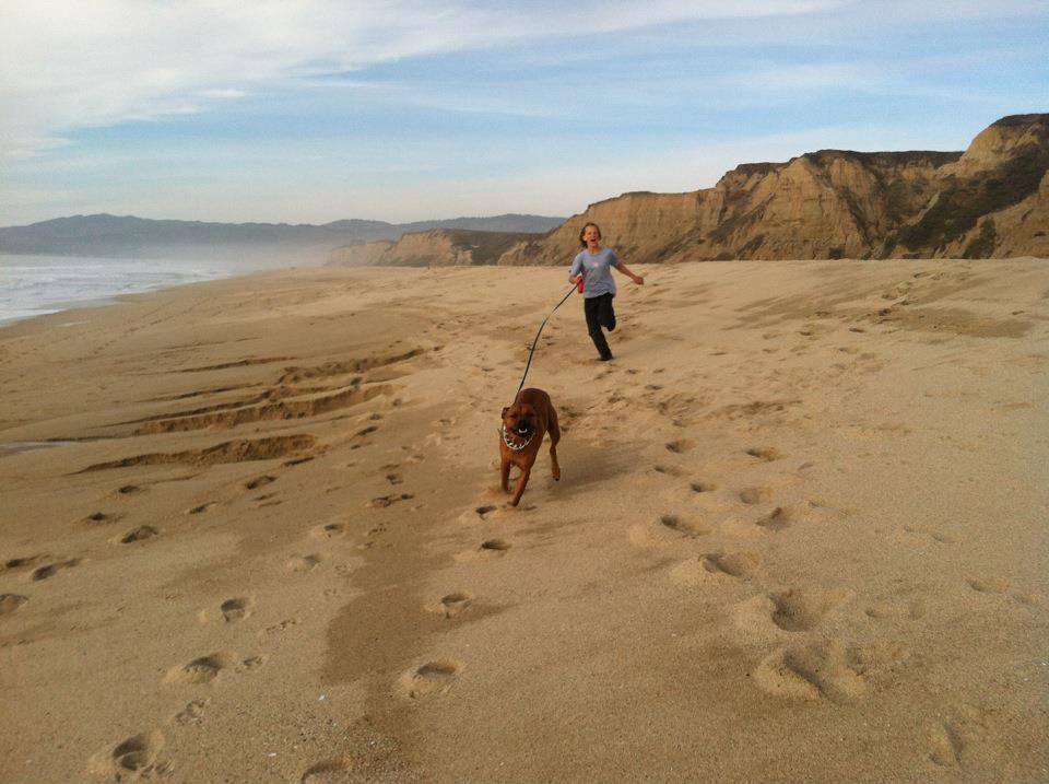 Dogs In the Bubble "Rescuing one dog may not change the world, but for