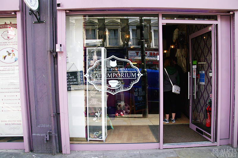 Lady Dinah's Cat Emporium, cat café in London. Photo by Alicia Sivertsson. semester resa london england att göra utflykt utflyktsmål cat café kattcafé katt kaffe café katter cats fika see and do