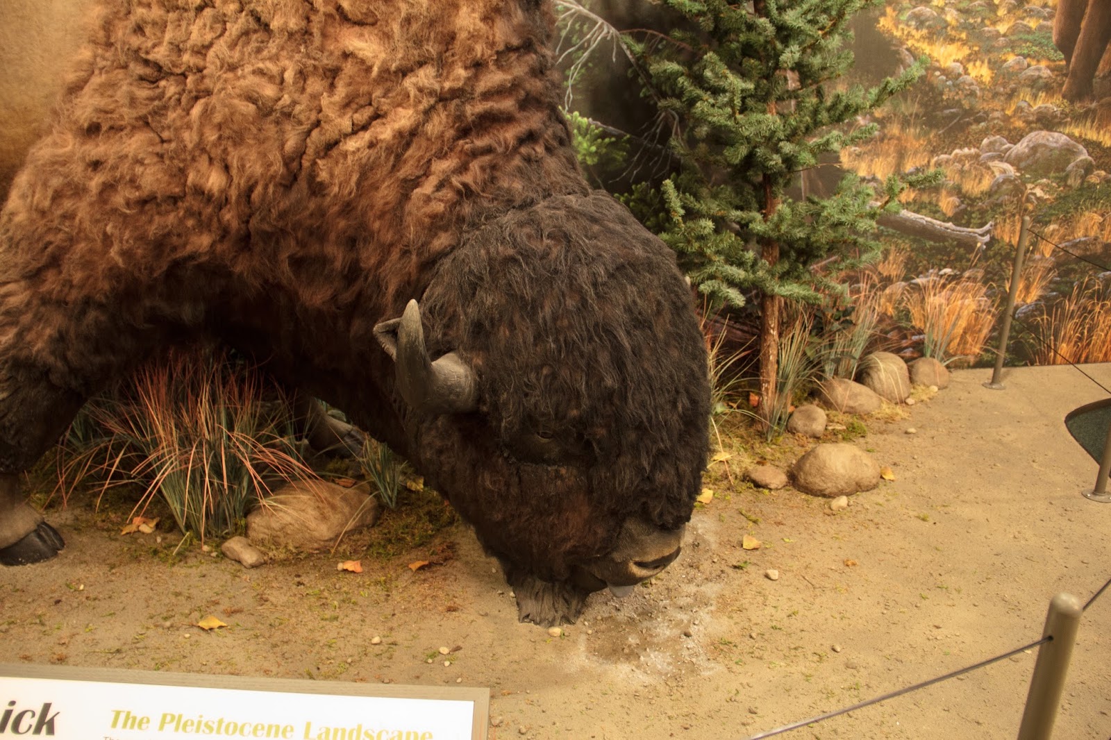 In and Around Northern Kentucky 2.0 Rabbit Hash & Big Bone