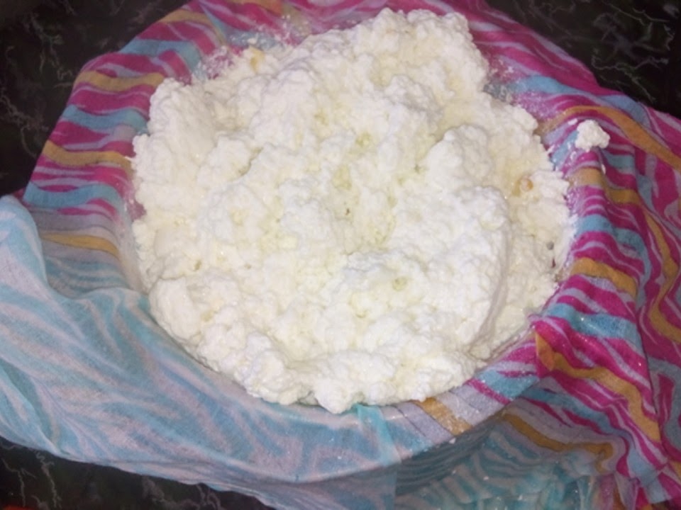 shaziya'srecipes HOMEMADE CREAM CHEESE. RECIPE/HOW TO MAKE CREAM