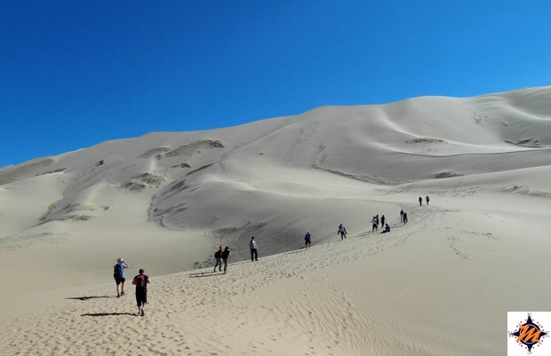 Deserto del Gobi. Khongoryn Els Deserto del Gobi. Khongoryn Els