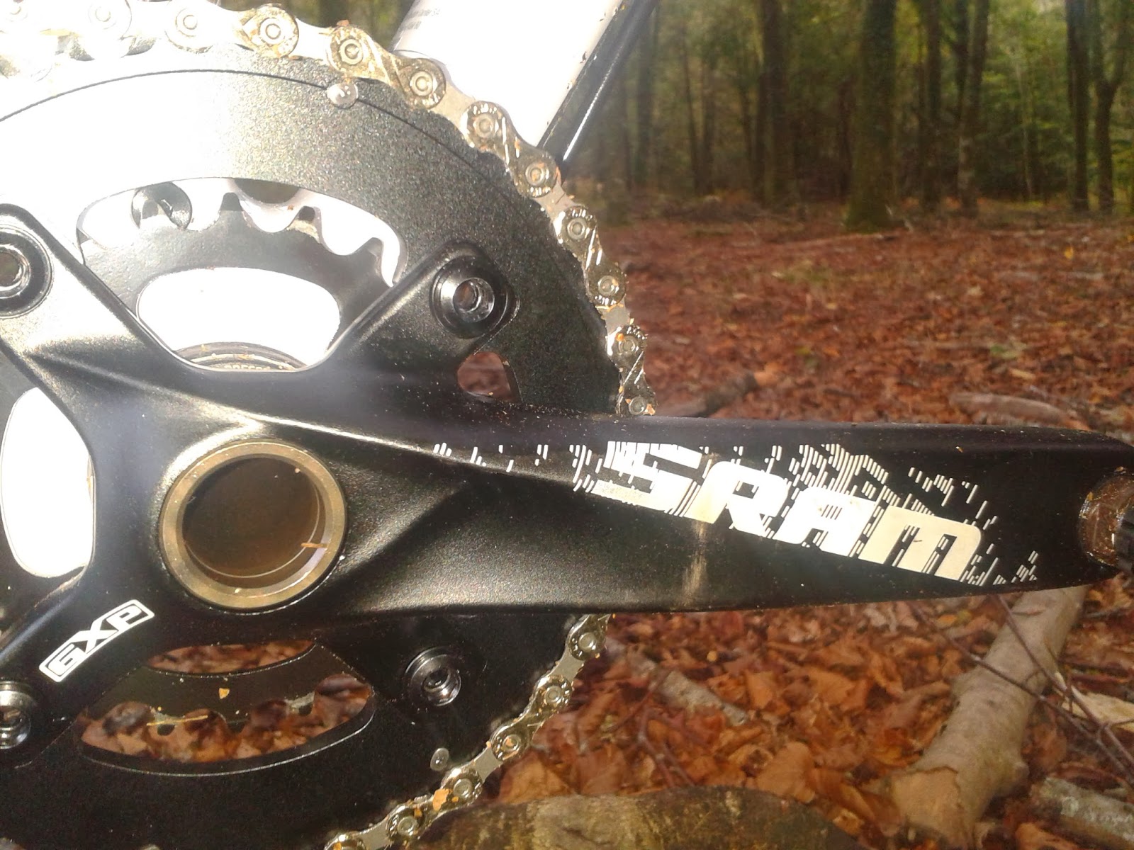 scott scale 930 2014