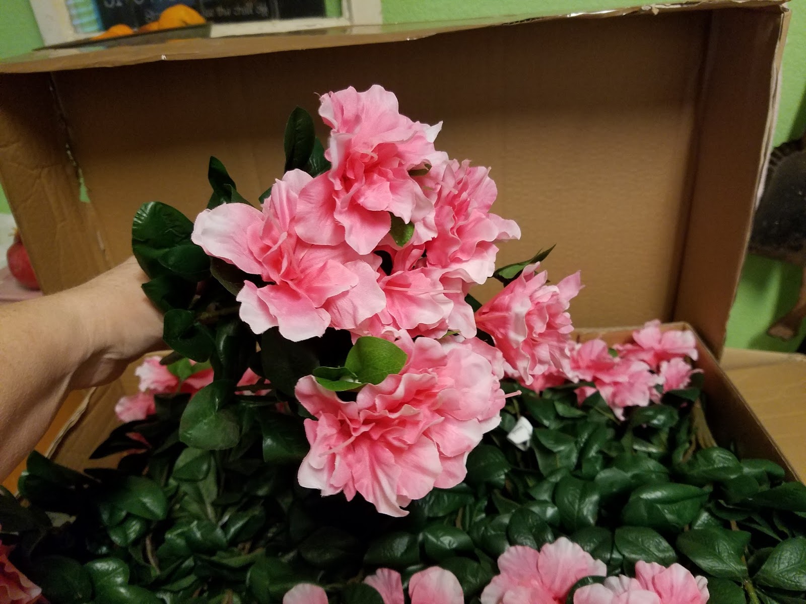 Dragonfly Treasure Silk Plants Direct Review