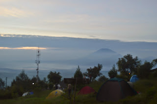 Tempat Wisata Alam Camp Mawar di Bandungan Tempat Wisata Alam Camp Mawar di Bandungan