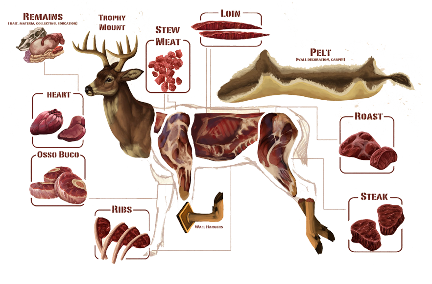 Weaver's Butcher Shop & Farm Deer Meat cuts in Pennsylvania