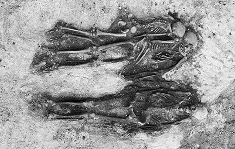 Isotope analysis reveals diet of beheaded Viking slaves