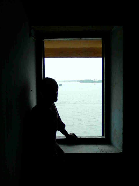 look at the shade Man looking outside window