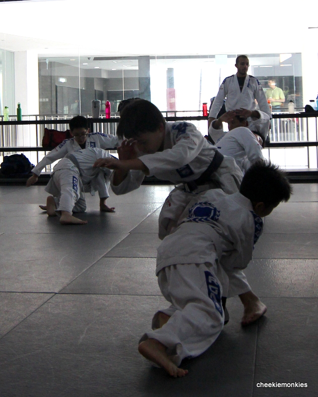 Cheekiemonkies Singapore Parenting & Lifestyle Blog Mixed Martial
