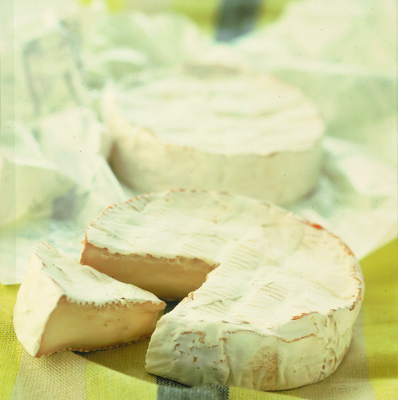 Шевр сыр из козьего молока. Козий сыр шевр. Бюш де шевр из козьего молока. Бюш-де-шевр. Шевр сыр из козьего молока.