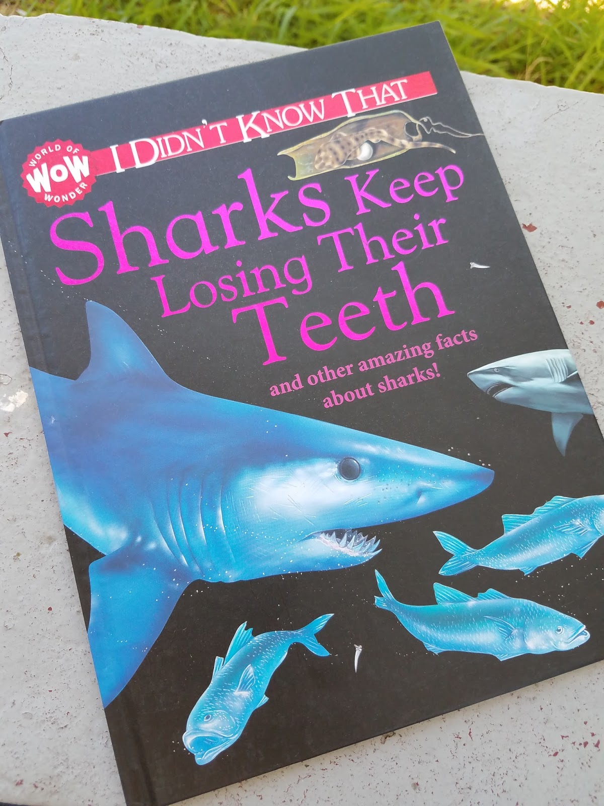 The ABCD Diaries Monthly Subscription Box for Book