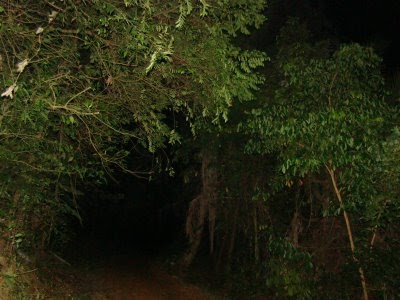 Beaufort Paranormal Community: Pengalaman sesat di hutan
