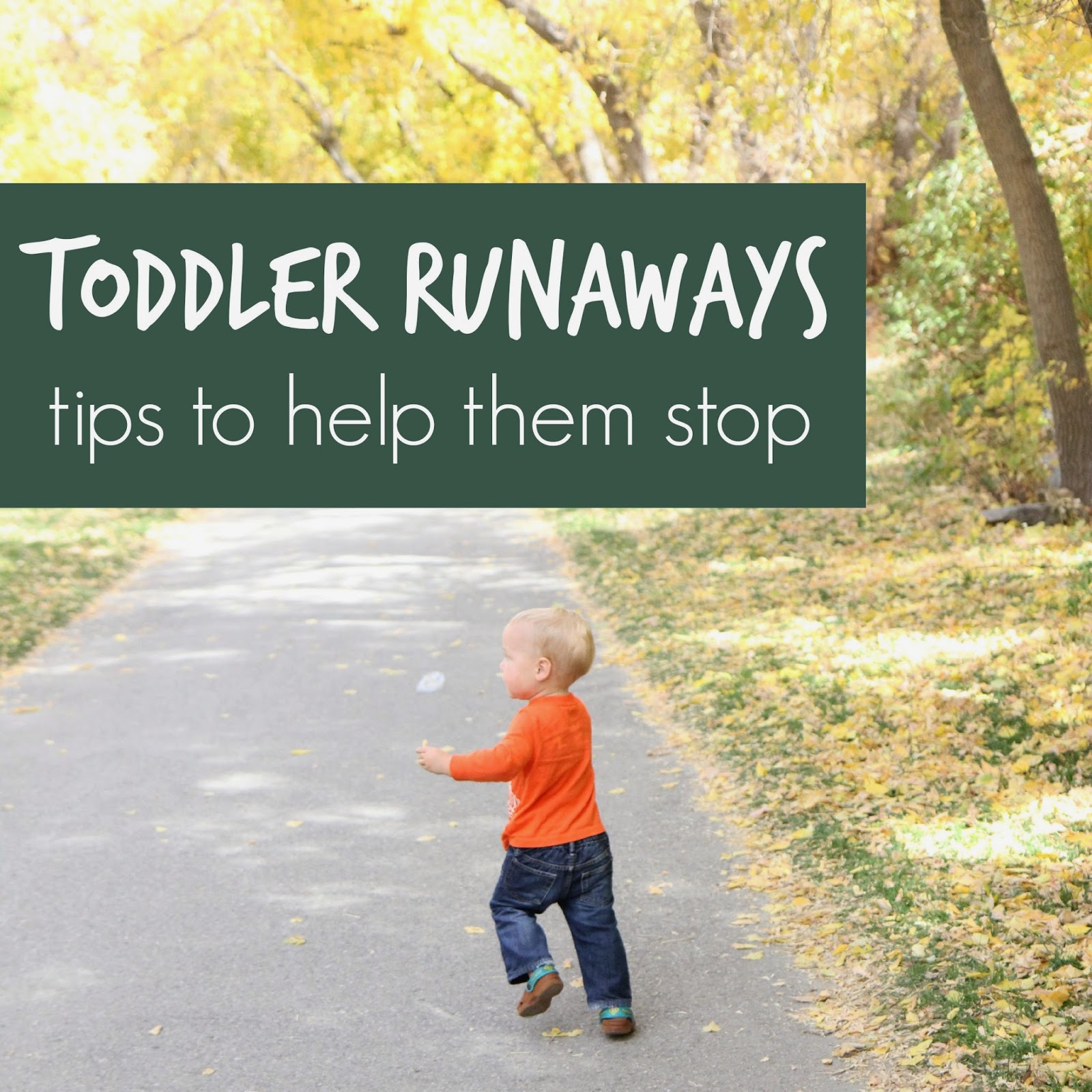 Toddler Approved! How Do I Stop My Toddler from Throwing Things!