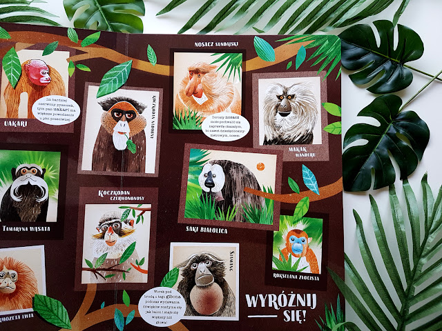 Asia Gwis - W świecie małp - Nasza Księgarnia - książeczki dla dzieci - recenzja - małpka z papieru - małpka diy - paper monkey - monkey kids crafts