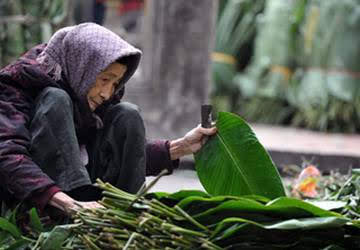 Thưa Mẹ mùa Xuân Thưa Mẹ mùa Xuân