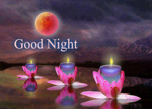 Good Night Images free Download for Whatsapp