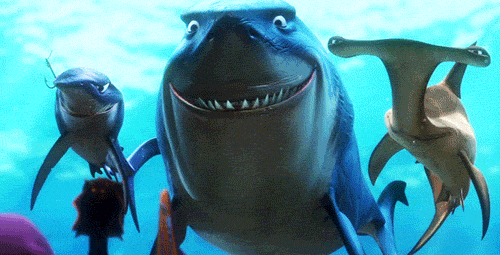 100+ Wallpaper Bergerak Ikan Nemo HD Terbaik 100+ Wallpaper Bergerak Ikan Nemo HD Terbaik