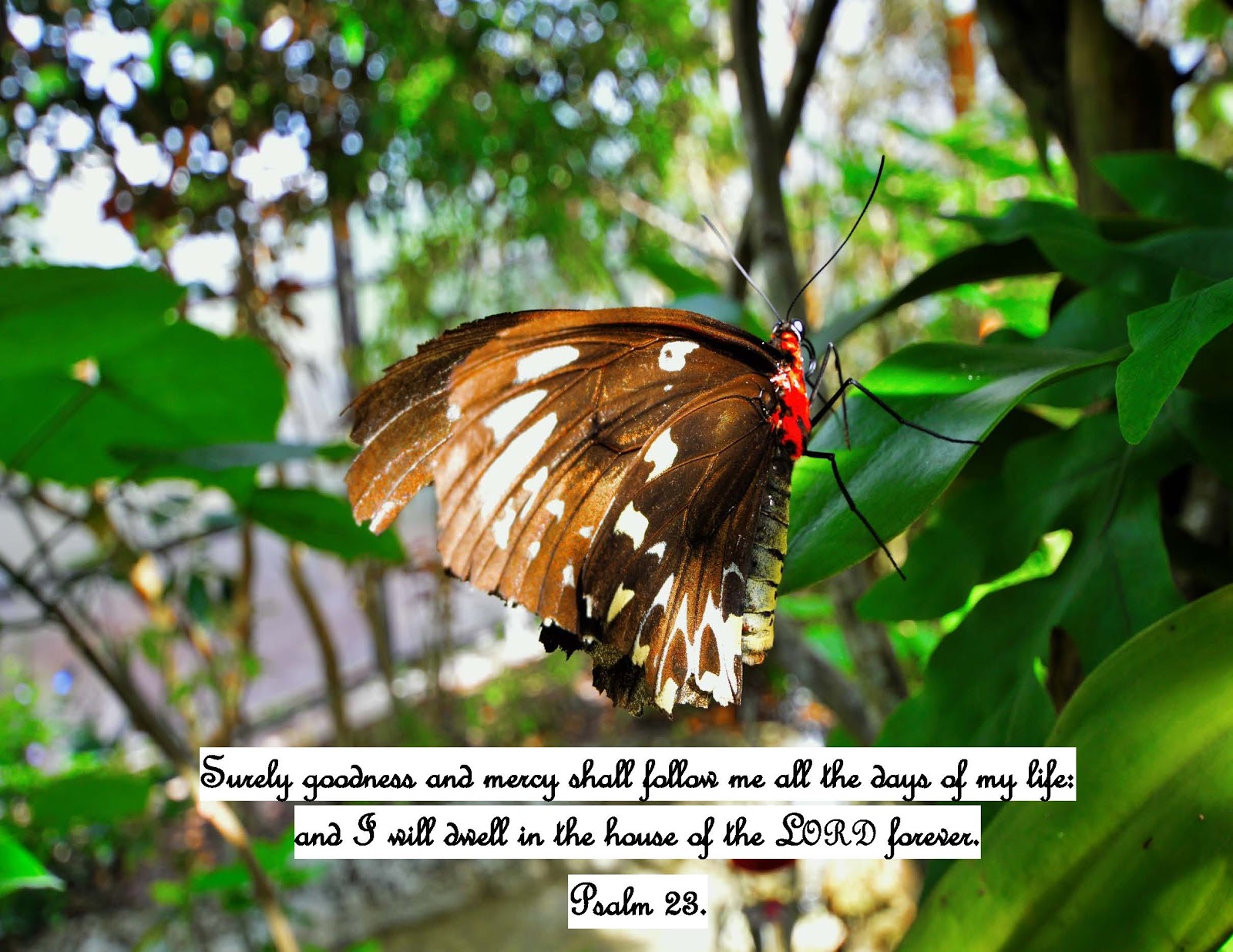 The Hermit Crabs Homeschool Free Monthly Calendar For April 2016