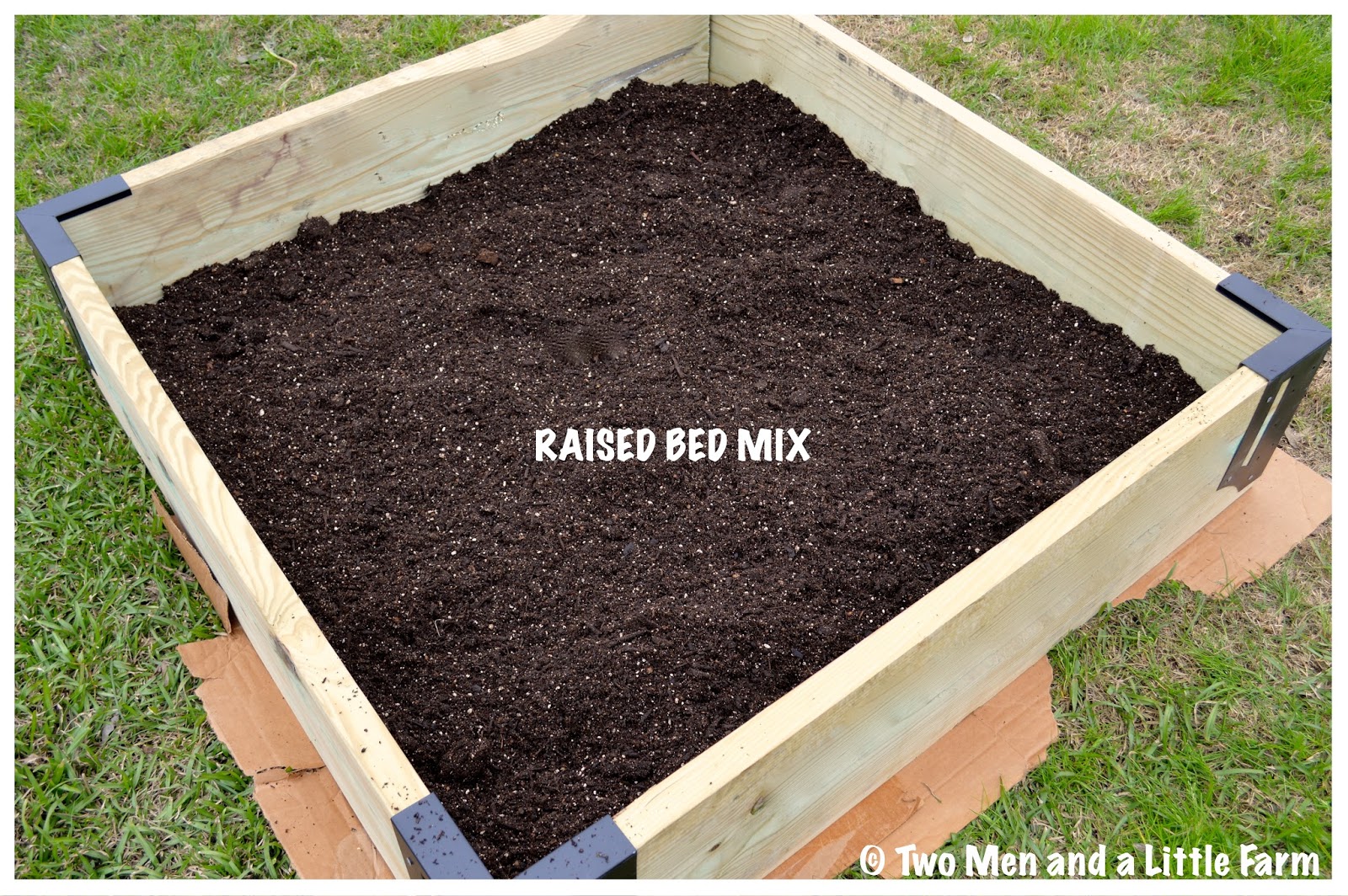 Two Men and a Little Farm RAISED BED SOIL FOR FRUIT TREES