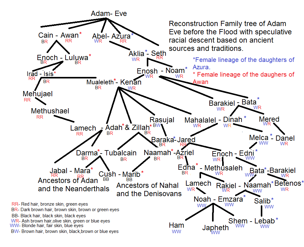 Adam And Family Chart