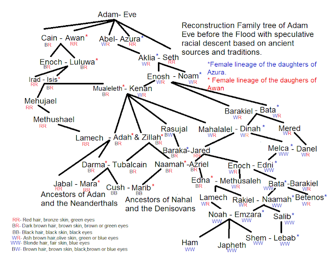 Family Tree Of Adam Eve